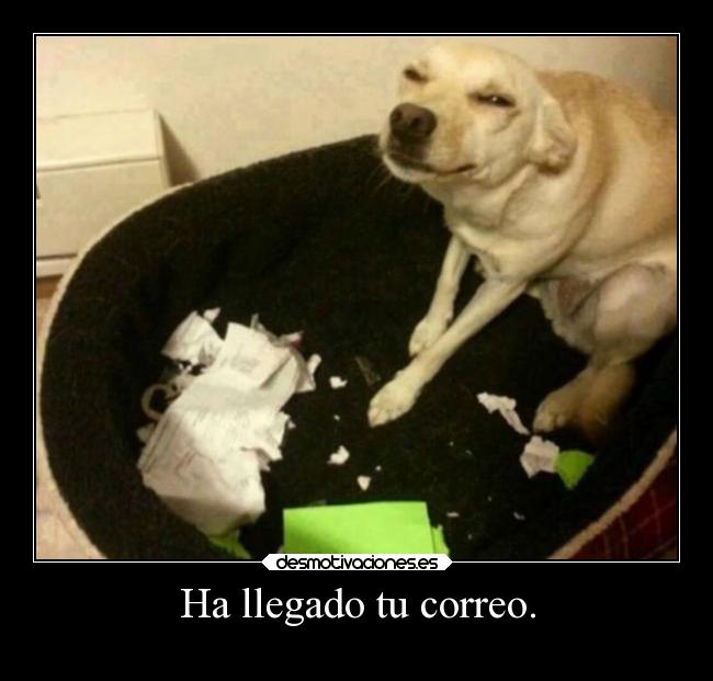 Ha llegado tu correo. -