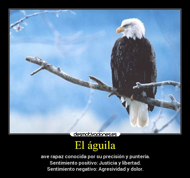 El águila - ave rapaz conocida por su precisión y puntería.
Sentimiento positivo: Justicia y libertad.
Sentimiento negativo: Agresividad y dolor.
