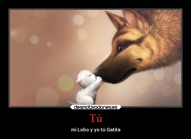 Tú - mi Lobo y yo tú Gatita