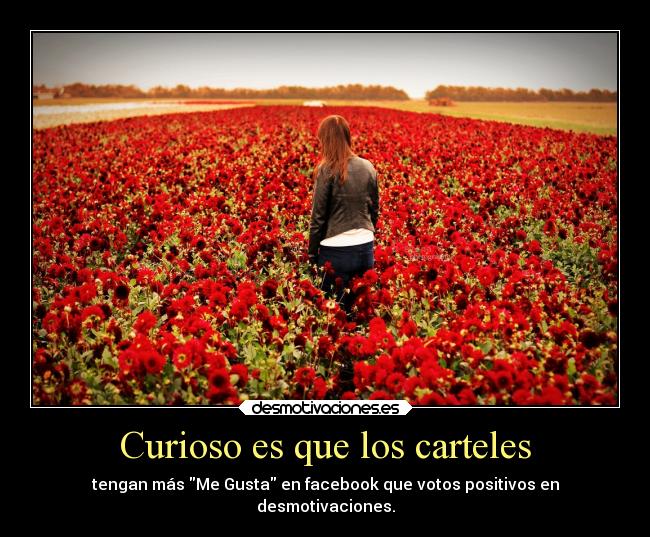 Curioso es que los carteles - tengan más Me Gusta en facebook que votos positivos en
desmotivaciones.