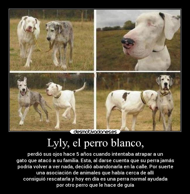 carteles alma desmotivaciones