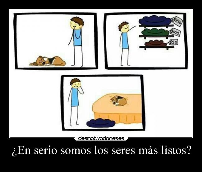 ¿En serio somos los seres más listos? -