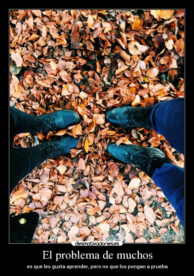 El problema de muchos - es que les gusta aprender, pero no que los pongan a prueba