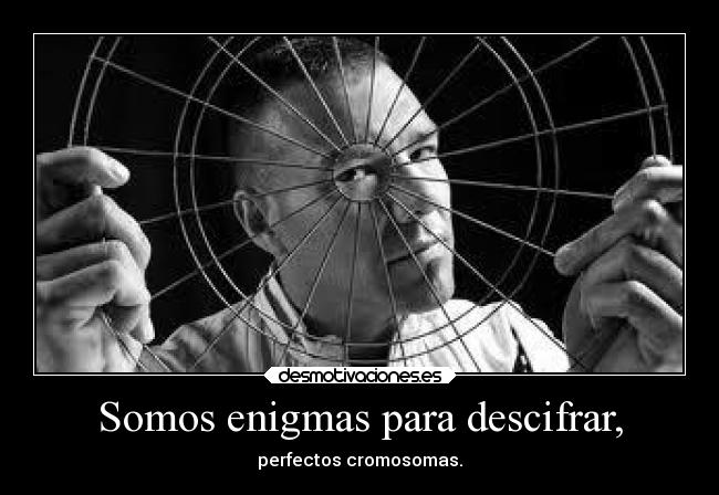 Somos enigmas para descifrar, - perfectos cromosomas.