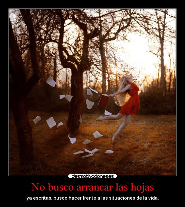 carteles alma noolvidoelpasado tansolorecuerdoloserrores paranocaerigual desmotivaciones