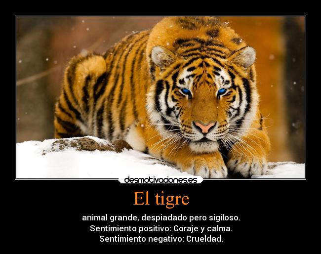 El tigre - animal grande, despiadado pero sigiloso.
Sentimiento positivo: Coraje y calma.
Sentimiento negativo: Crueldad.