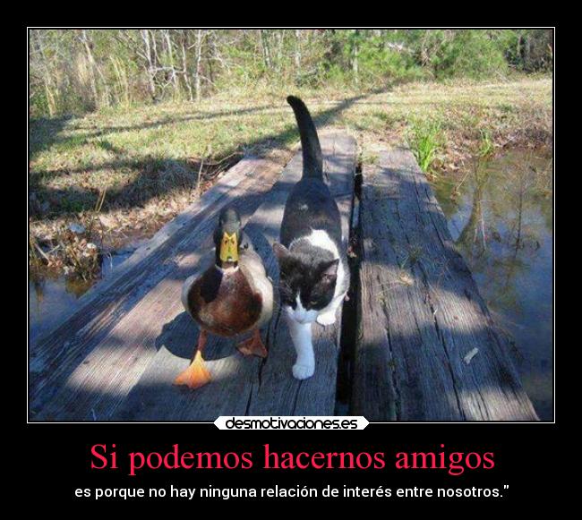 Si podemos hacernos amigos - es porque no hay ninguna relación de interés entre nosotros.