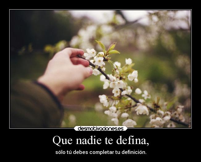 Que nadie te defina, - 