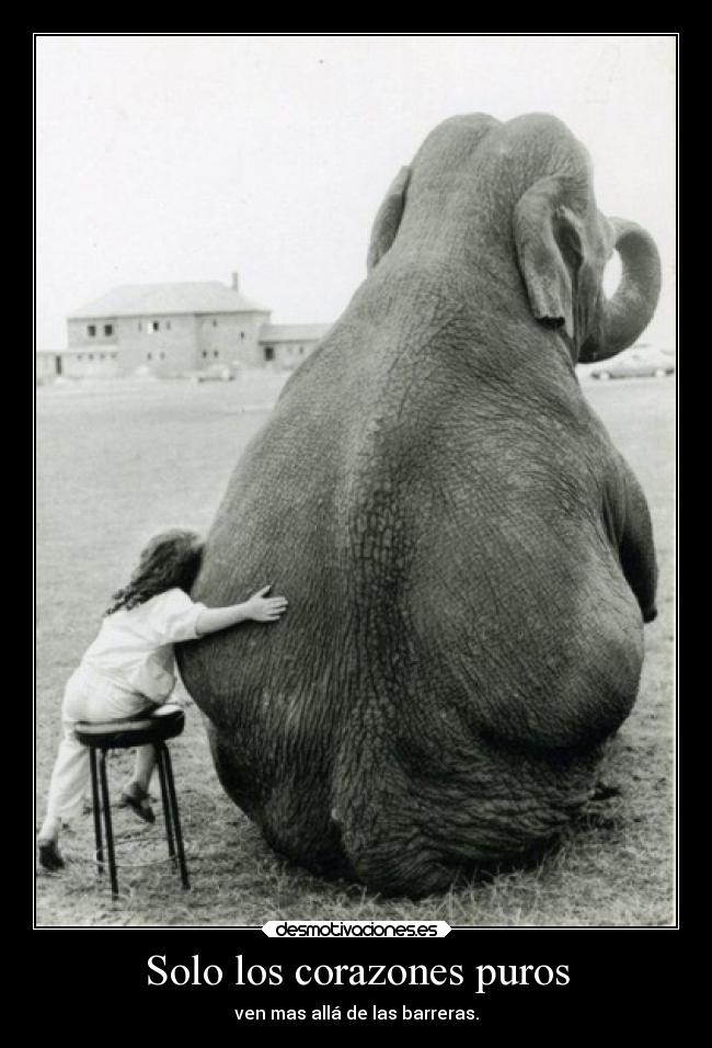 Solo los corazones puros -