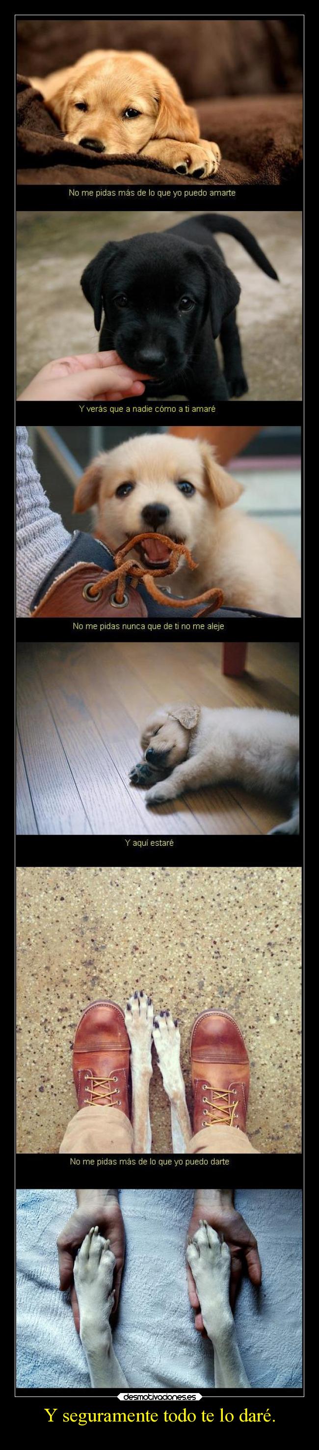 Y seguramente todo te lo daré. -