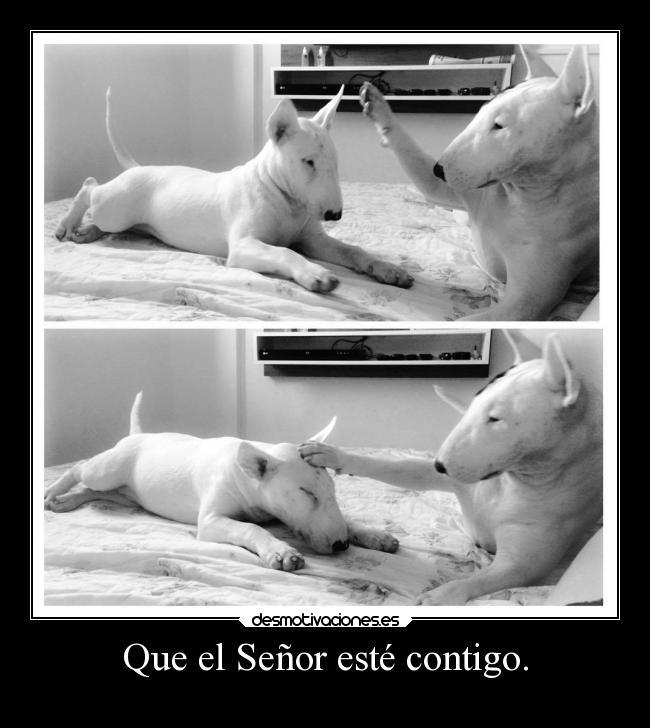 Que el Señor esté contigo. -