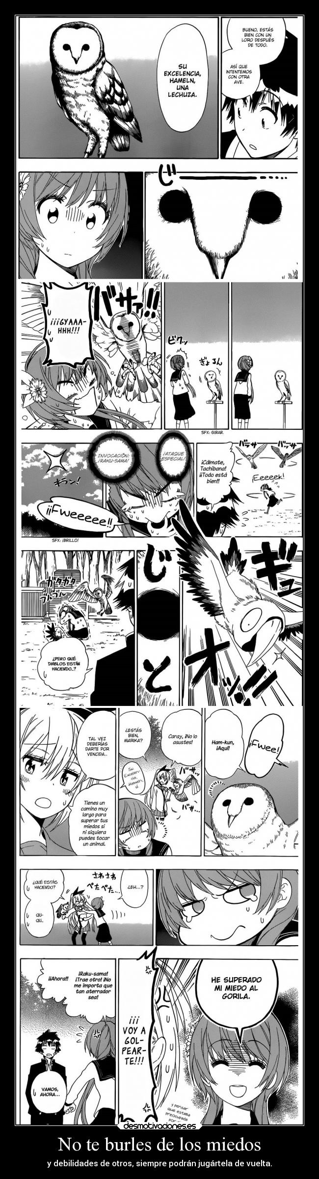 No te burles de los miedos - 