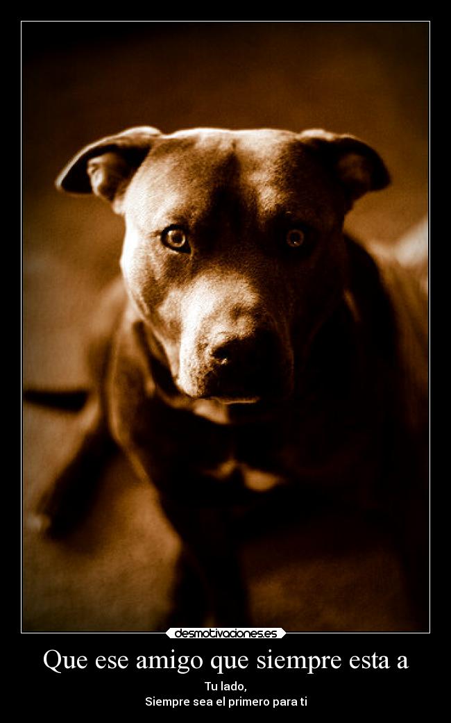 carteles amistad desmotivaciones