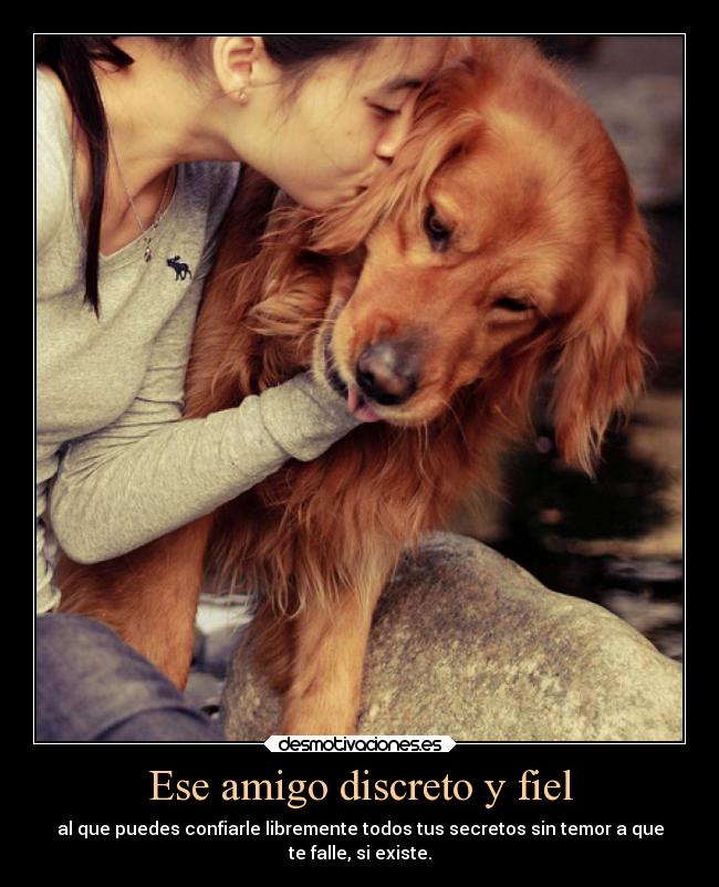 carteles amistad fiel realmenteamoamiperro desmotivaciones