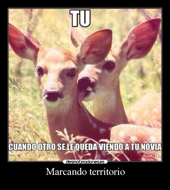 carteles amor amigos desmotivaciones