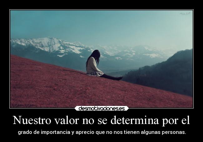 Nuestro valor no se determina por el - grado de importancia y aprecio que no nos tienen algunas personas.
