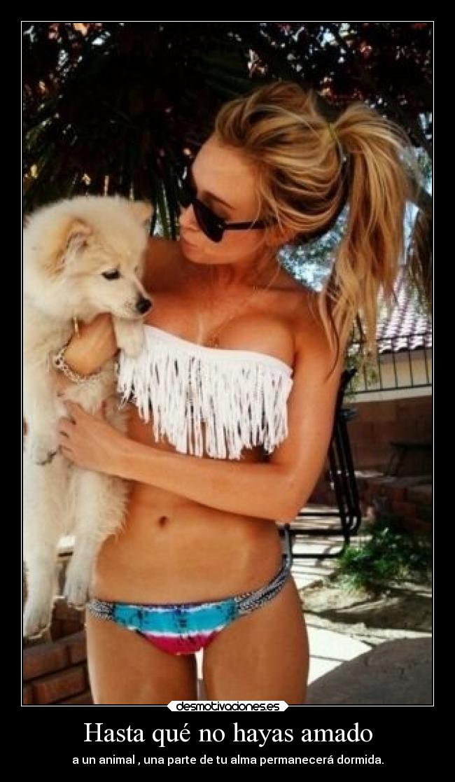 Hasta qué no hayas amado - a un animal , una parte de tu alma permanecerá dormida.
