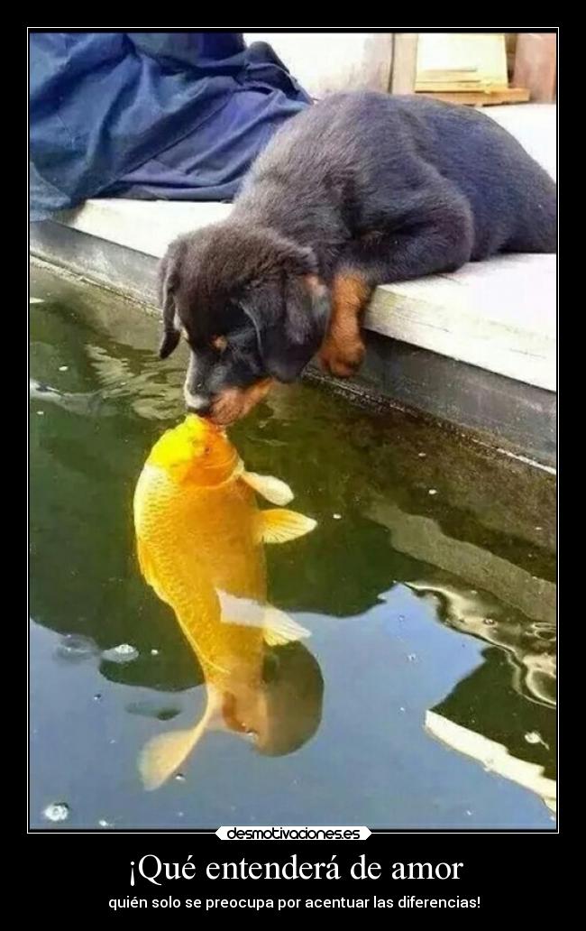 carteles amor bogota desmotivaciones