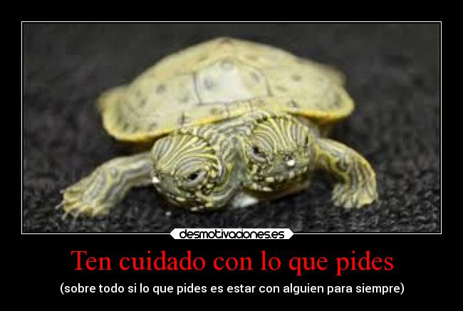 Ten cuidado con lo que pides - (sobre todo si lo que pides es estar con alguien para siempre)