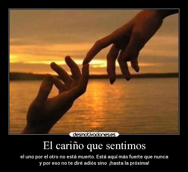 carteles amor desmotivaciones