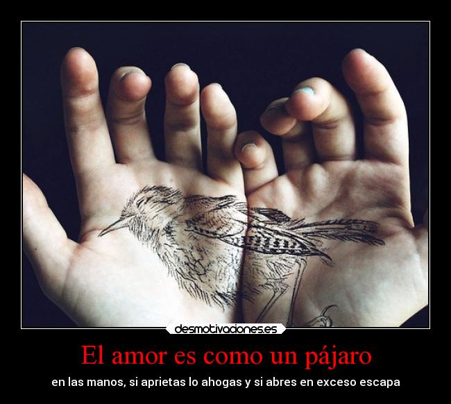 El amor es como un pájaro - en las manos, si aprietas lo ahogas y si abres en exceso escapa