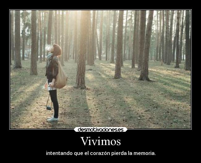 Vivimos - intentando que el corazón pierda la memoria.