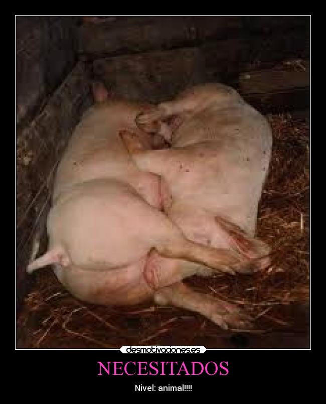 carteles amor desmotivaciones