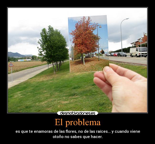 El problema - es que te enamoras de las flores, no de las raíces... y cuando viene
otoño no sabes que hacer.