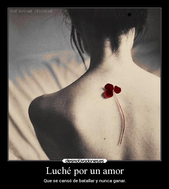 Luché por un amor -