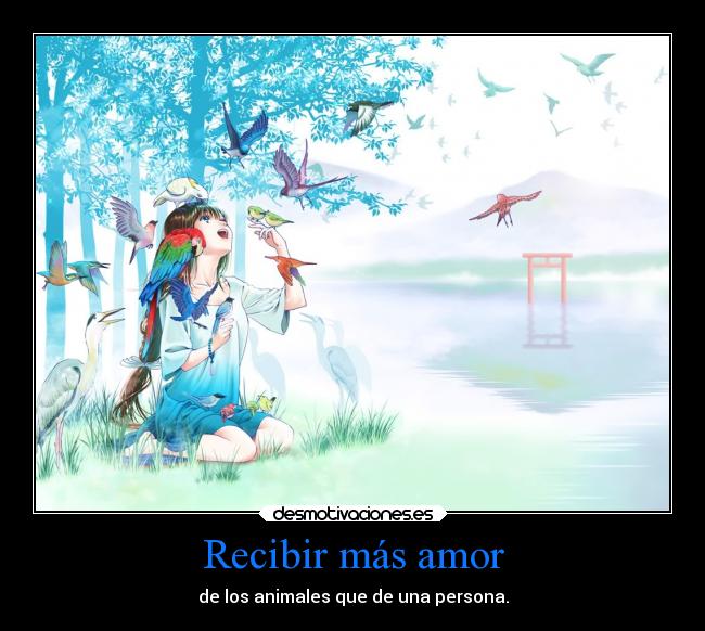 Recibir más amor -