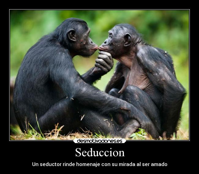 Seduccion - 