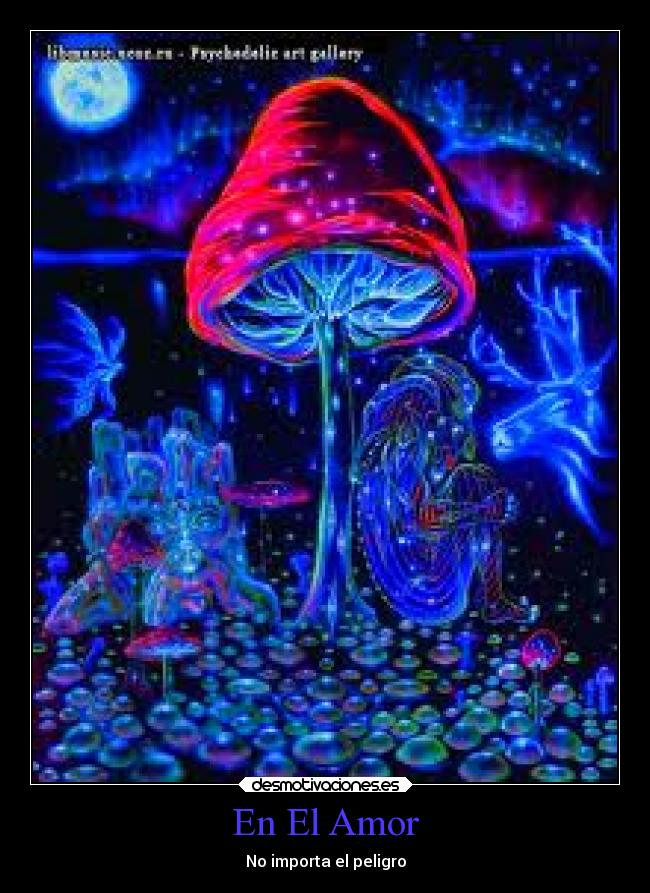 En El Amor - No importa el peligro