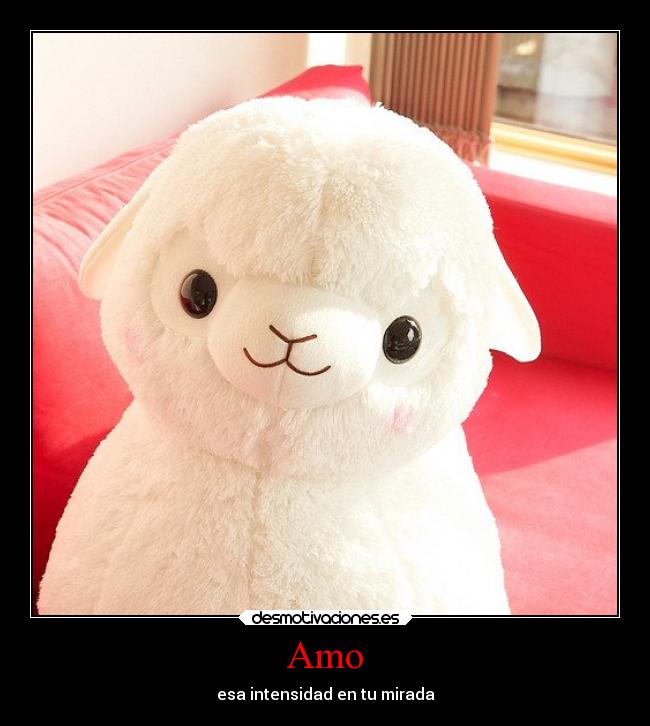 Amo - esa intensidad en tu mirada