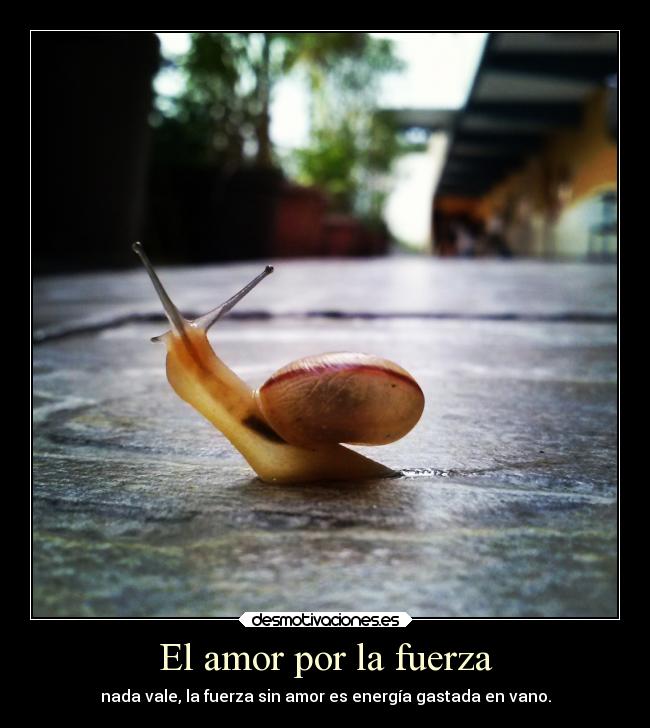 El amor por la fuerza - nada vale, la fuerza sin amor es energía gastada en vano.