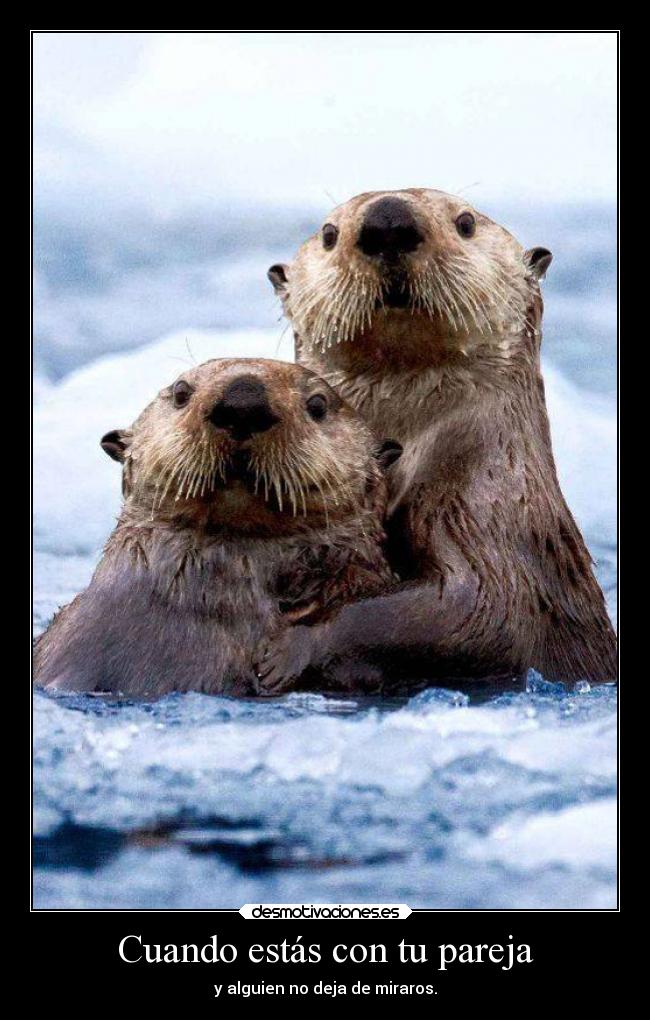 carteles amor humor breathe parejas personas summit bollicaosjota wisdom breathebreathe ejercitodemar desmotivaciones