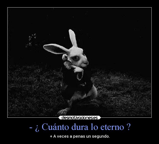 carteles amor tiempo eterno segundo alicia wonderlandd desmotivaciones