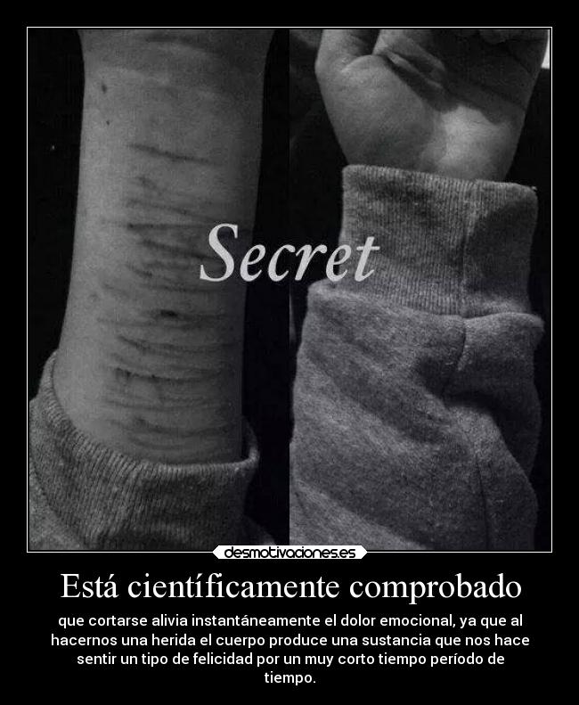 carteles amor vida desmotivaciones