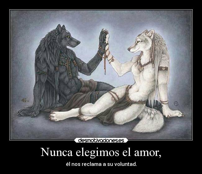 Nunca elegimos el amor, - él nos reclama a su voluntad.