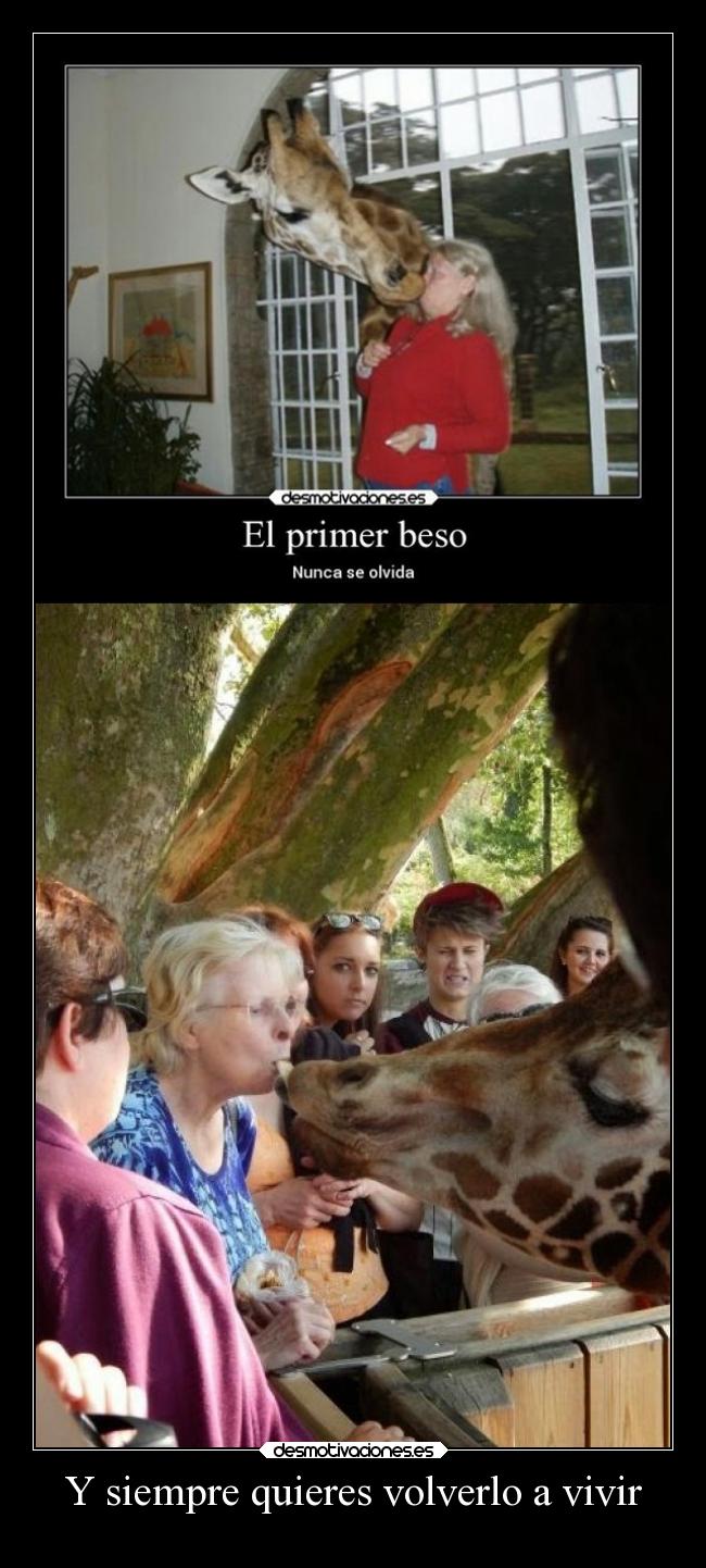 carteles amor zoofilia excesodeamorparati ekstasiskaf desmotivaciones