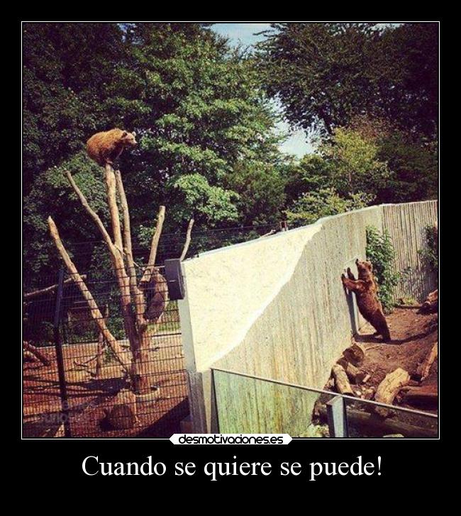 Cuando se quiere se puede! -