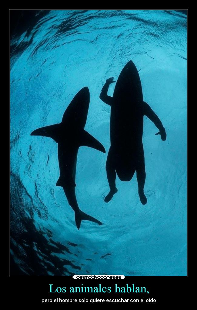 Los animales hablan, -