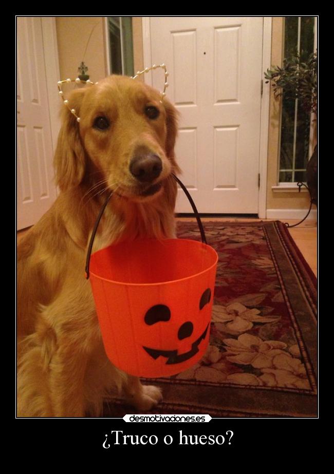 ¿Truco o hueso? - 