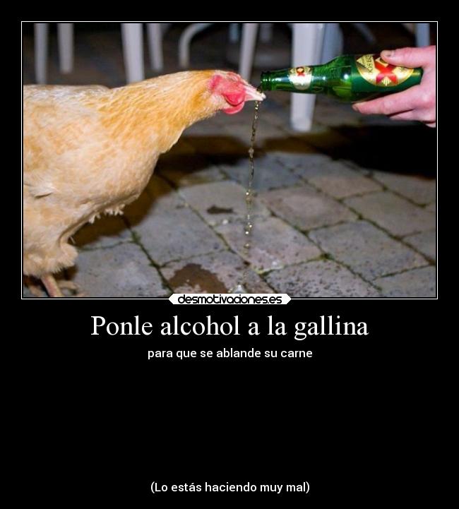 Ponle alcohol a la gallina - para que se ablande su carne








(Lo estás haciendo muy mal)