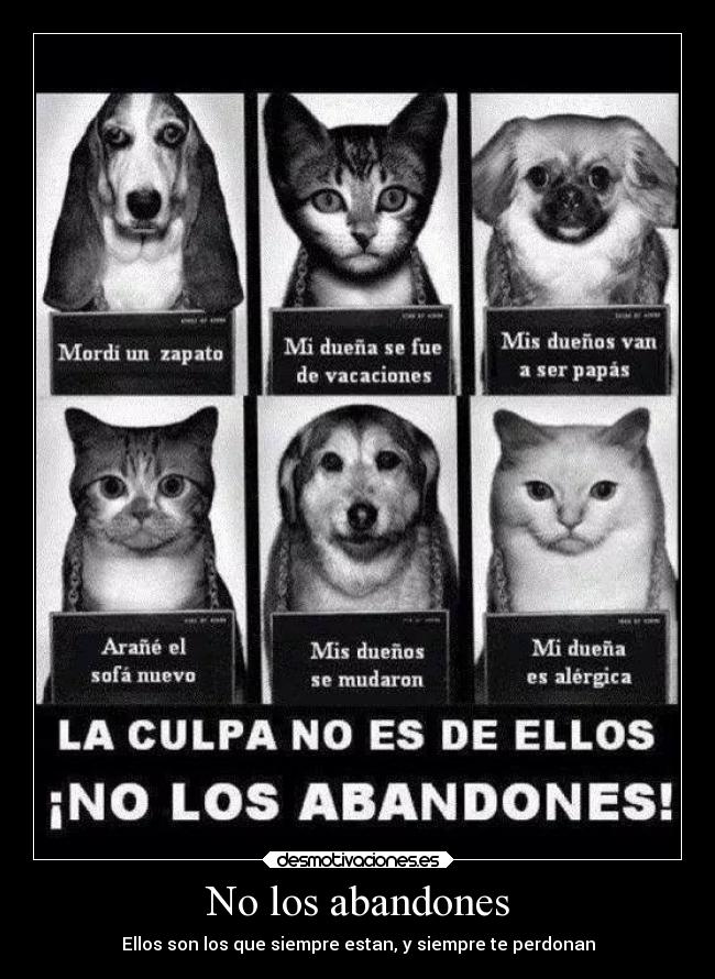 No los abandones - Ellos son los que siempre estan, y siempre te perdonan