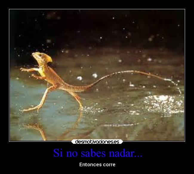 Si no sabes nadar... -