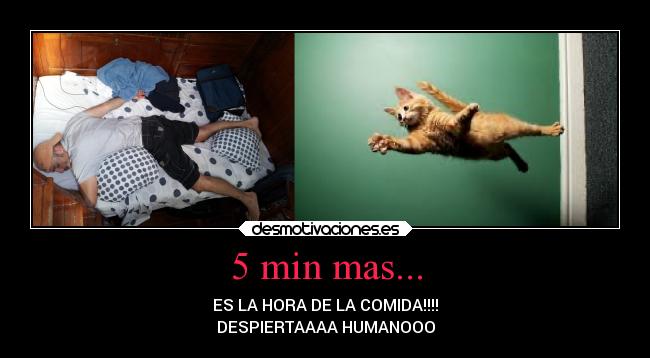 5 min mas... - 