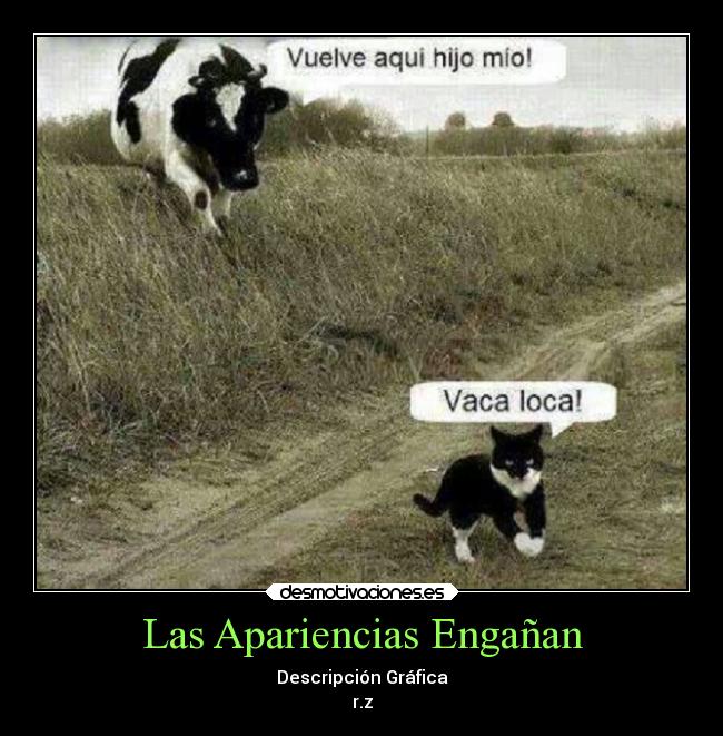 Las Apariencias Engañan - Descripción Gráfica
r.z