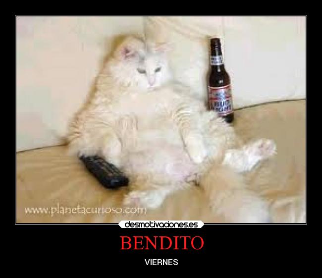 BENDITO -