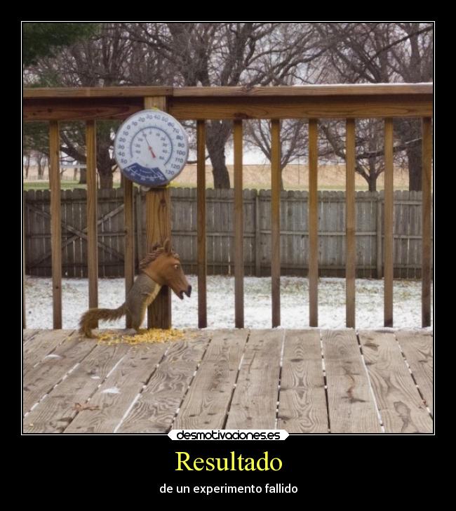 carteles animales desmotivaciones