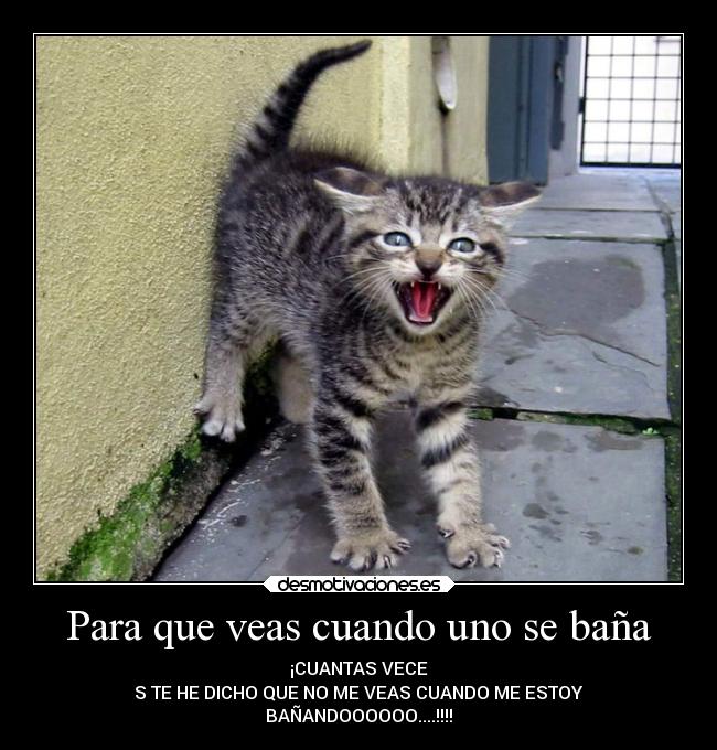 carteles animales desmotivaciones